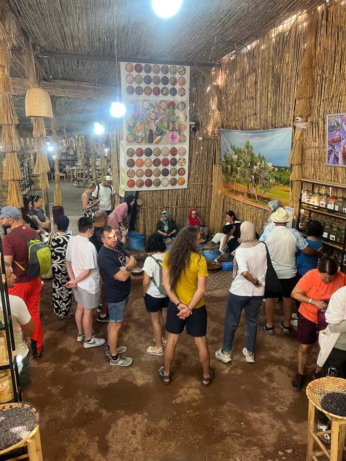 Marrakech: Atlas Mountains, Ourika Valley, Waterfall & Lunch - The 1.5-hour walk to Setti Fadma waterfalls