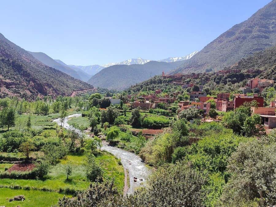 Marrakech: Atlas Mountains, Ourika Valley, Waterfall & Lunch - Is $16 good value?
