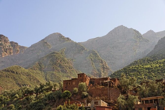 Marrakech: Atlas Mountains, Ourika Valley, Waterfall with Guide - What the argan cooperative adds