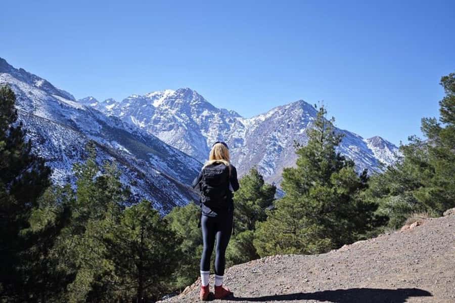 Marrakech: Atlas Mountains Summit Day Trek 2700m - How hard is the Talamrout hike?
