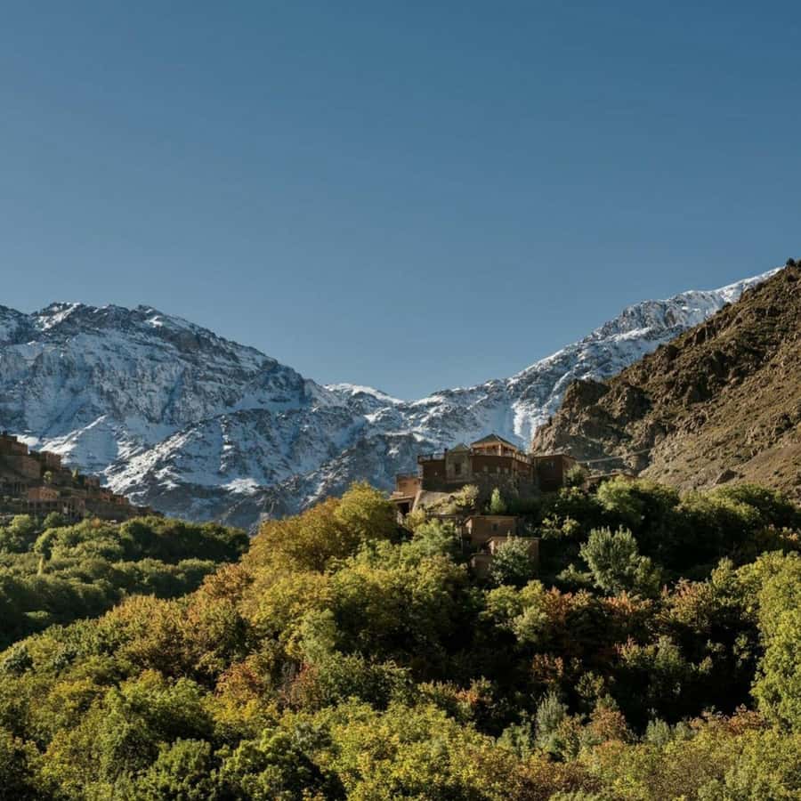 Marrakech: Atlas Mountains & Valleys Waterfall Hike w/ Lunch - Why the $18 price is unusually good value