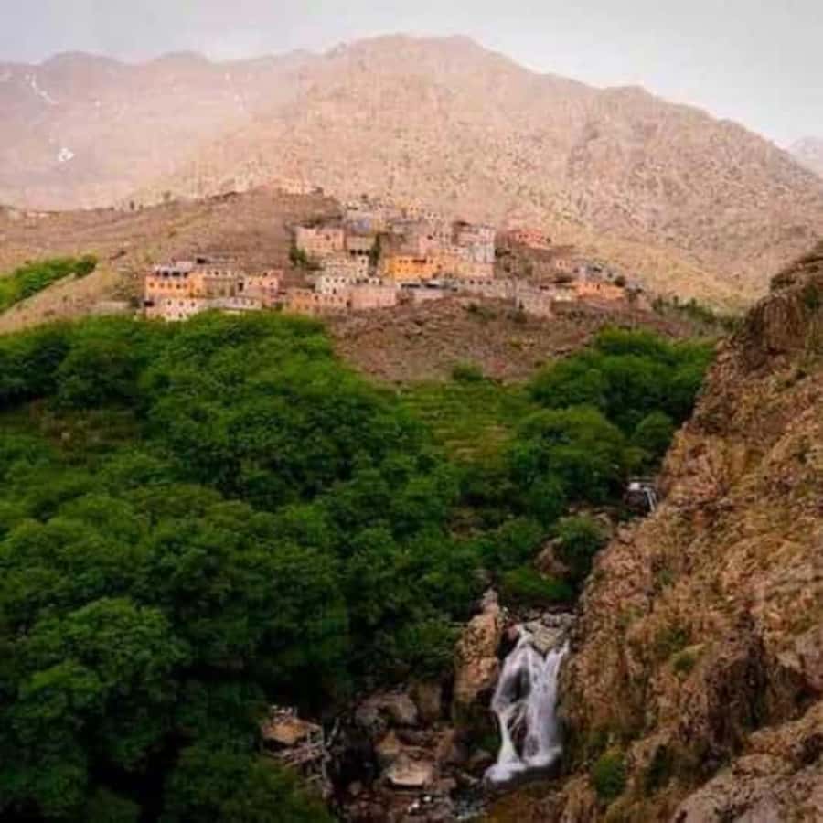 Marrakech: Atlas Mountains & Valleys Waterfall Hike w/ Lunch - Languages, communication, and group comfort
