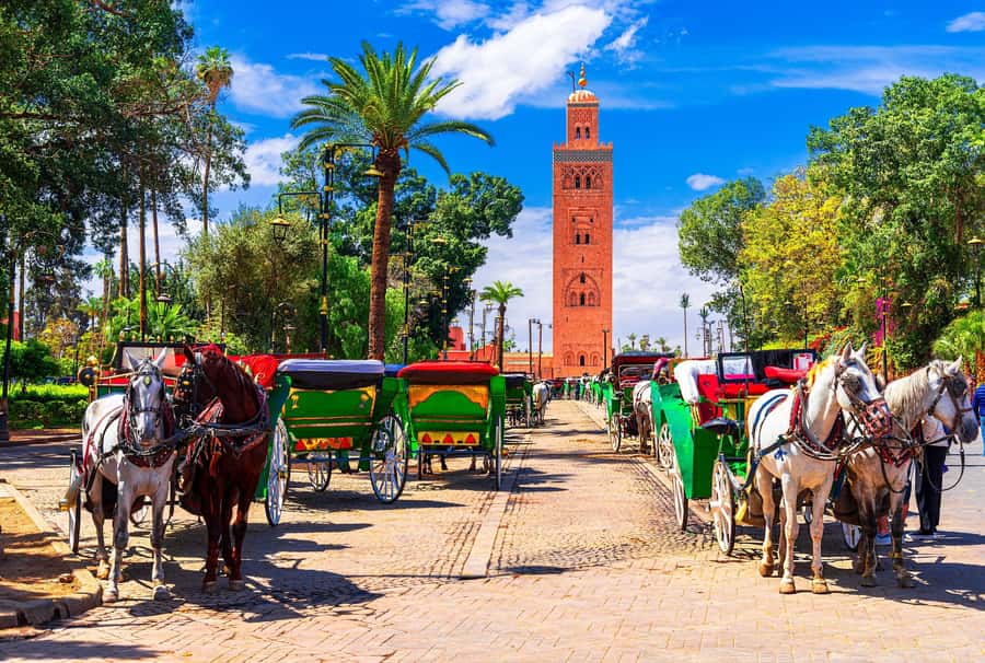 Marrakech: Bahia Palace, Madrasa Ben Youssef & Secret Garden - Mellah and the change from monuments to neighborhoods
