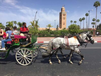 Bahia Palace, Saadian Tombs, & Koutoubia Mosque