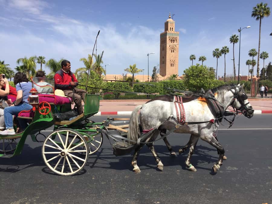 Marrakech: Bahia Palace, Saadian Tombs, & Koutoubia Mosque - Koutoubia Mosque and Marrakech’s famous minaret