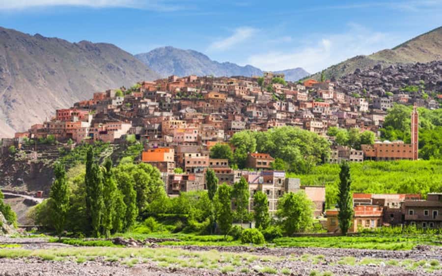 Marrakech: Berber Spa and Traditional Hammam with Steam Room - What the Marrakech Berber spa experience includes