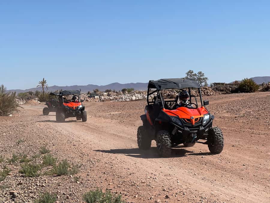 Marrakech Buggy Palmerie and Desert - Two hours across palms, dust, and open tracks