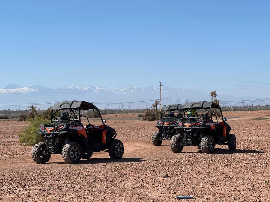 Marrakech Buggy Palmerie and Desert - Photo stop with the Atlas Mountains in view