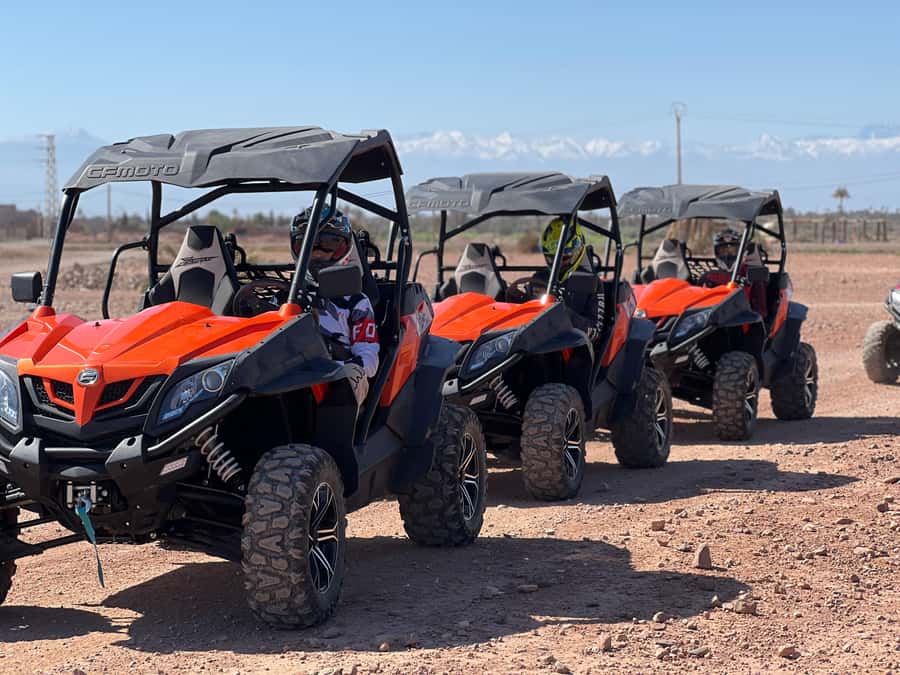 Marrakech Buggy Palmerie and Desert - Should you book the Marrakech buggy experience?
