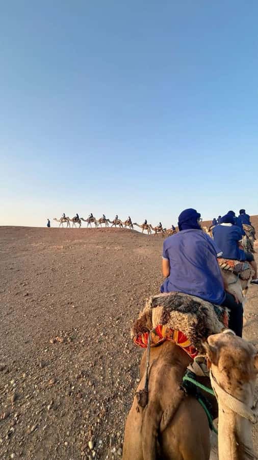 Marrakech: Camel & Quad Bike Tour with Sunset, Dinner & Show - Should you book the camel and quad desert tour?