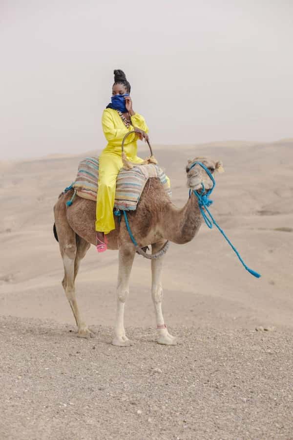 Marrakech: Camel & Quad Bike Tour with Sunset, Dinner & Show - The argan oil cooperative adds a useful local stop