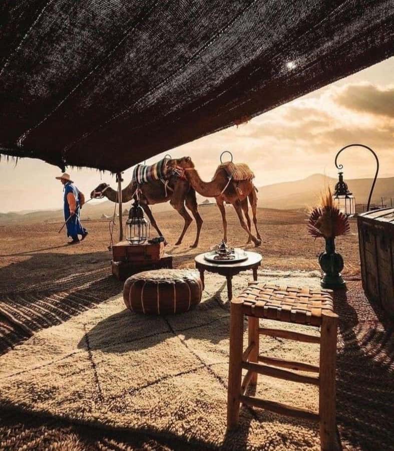 Marrakech: Camel & Quad Bike Tour with Sunset, Dinner & Show - Dinner under a Berber tent
