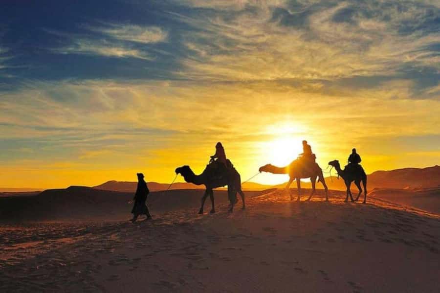 Marrakech: Camel & Quad Bike Tour with Sunset, Dinner & Show - A 30-minute quad ride across rough ground