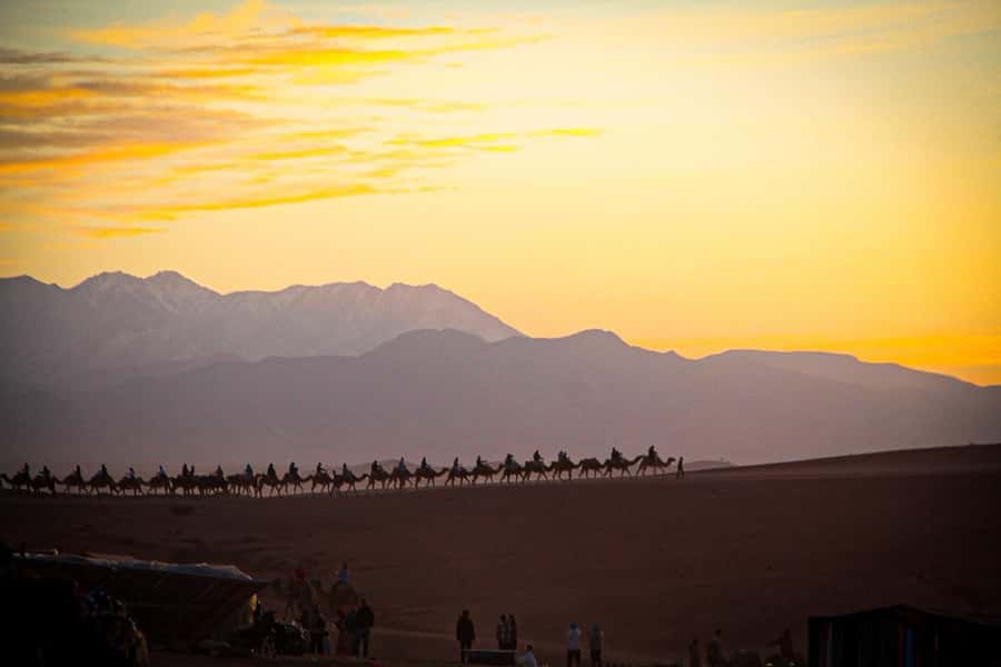 Marrakech: Camel Ride, Dinner, Pool, and Fire Show in Agafay - Moroccan dinner under the stars