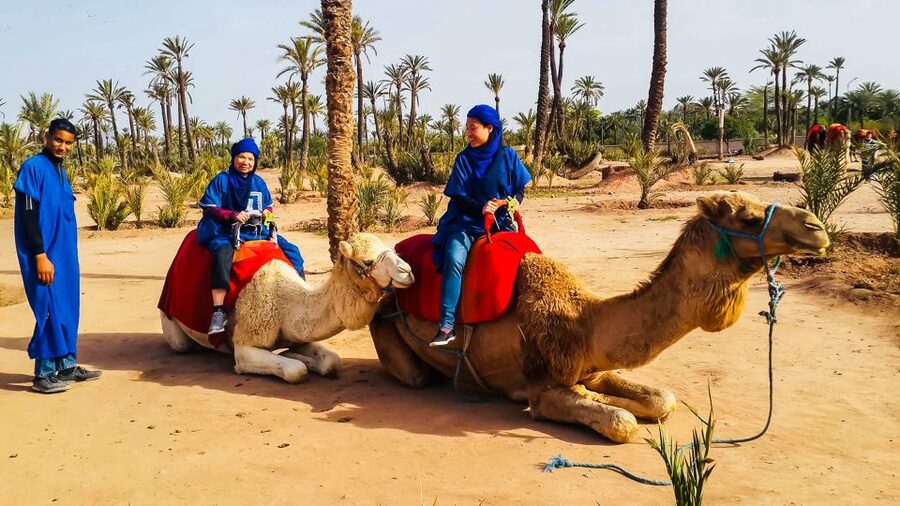 Marrakech: Camel Ride in the Oasis Palmeraie - What to bring and what to expect