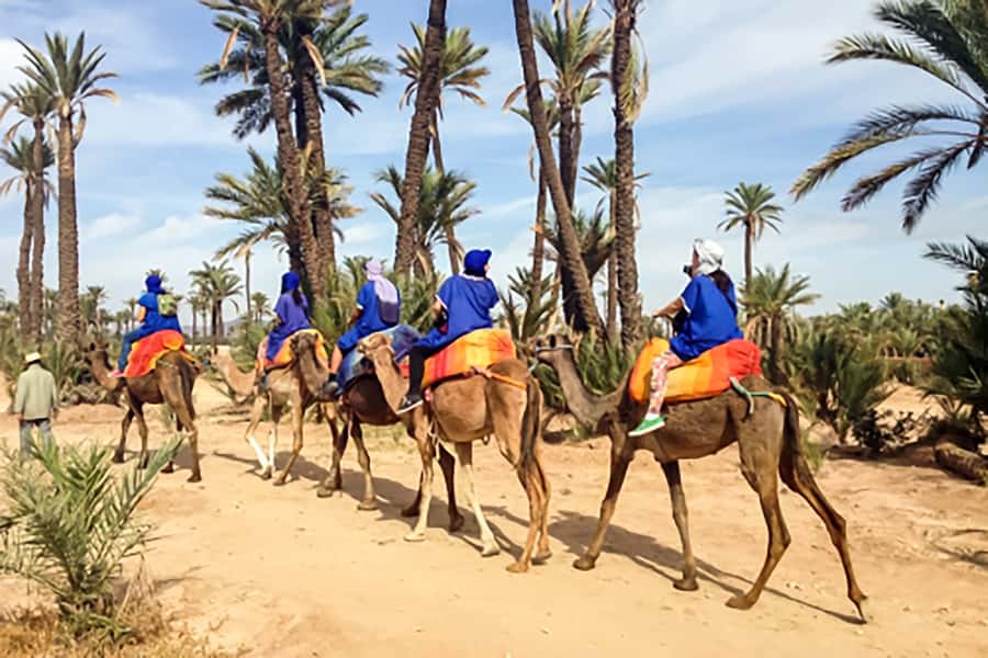 Marrakech: Camel Ride in the Oasis Palmeraie - Guides who add more than directions
