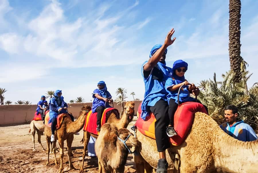 Marrakech: Camel Ride in the Oasis Palmeraie - Mint tea in a nomadic-style area