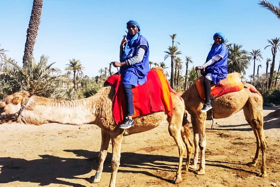 Marrakech: Camel Ride in the Oasis Palmeraie - Is $26 a fair price?