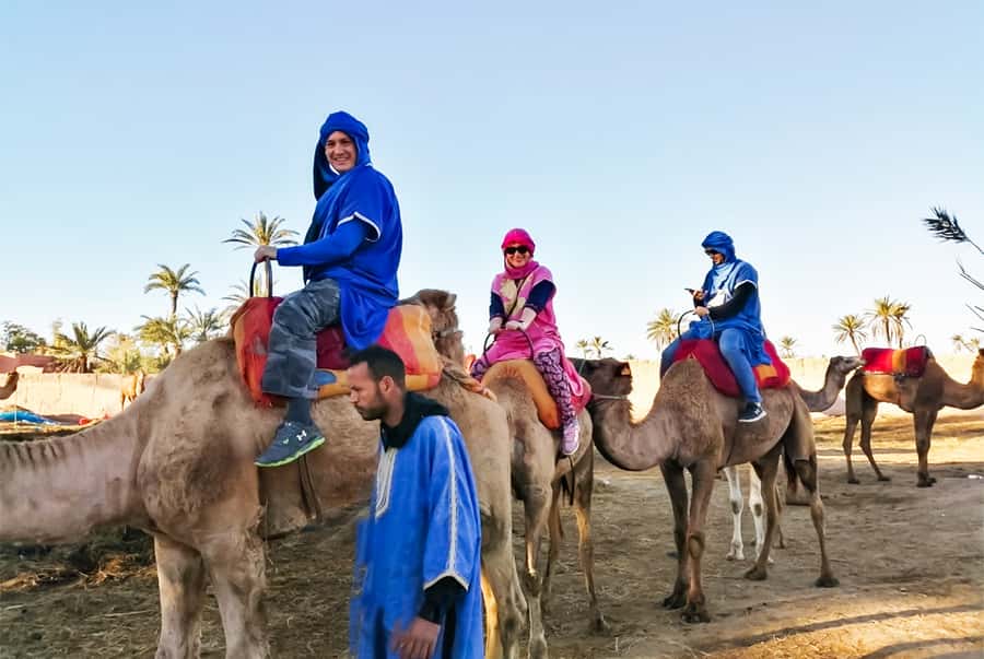 Marrakech: Camel Ride in the Oasis Palmeraie - Families, solo visitors, and first-time riders