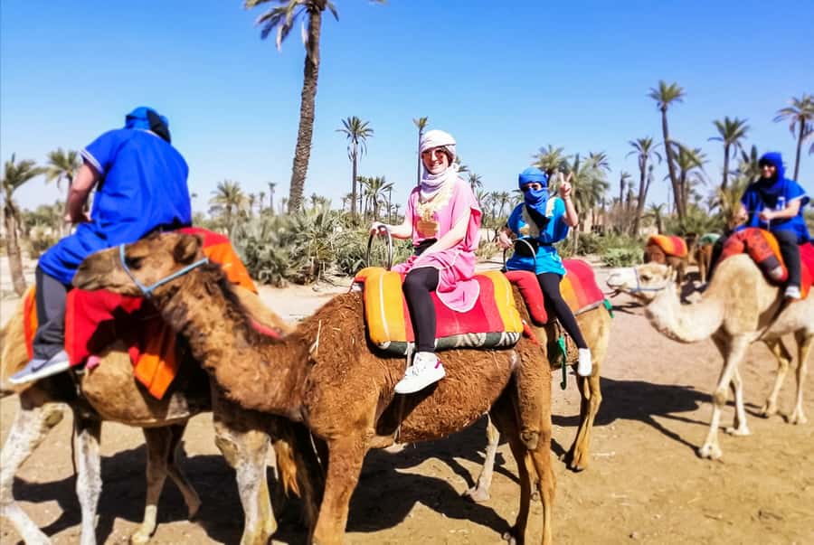 Marrakech: Camel Ride in the Oasis Palmeraie - Booking details that matter