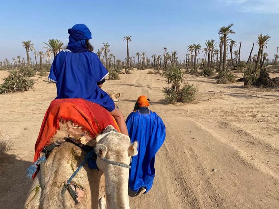 Marrakech Camel Ride in the Palmeraie Palm Grove - Riding into the Palmeraie