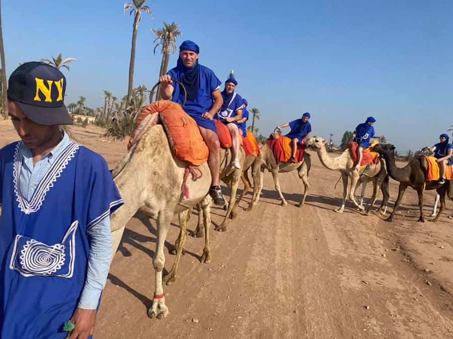 Marrakech Camel Ride in the Palmeraie Palm Grove - The one-hour route through palm trees