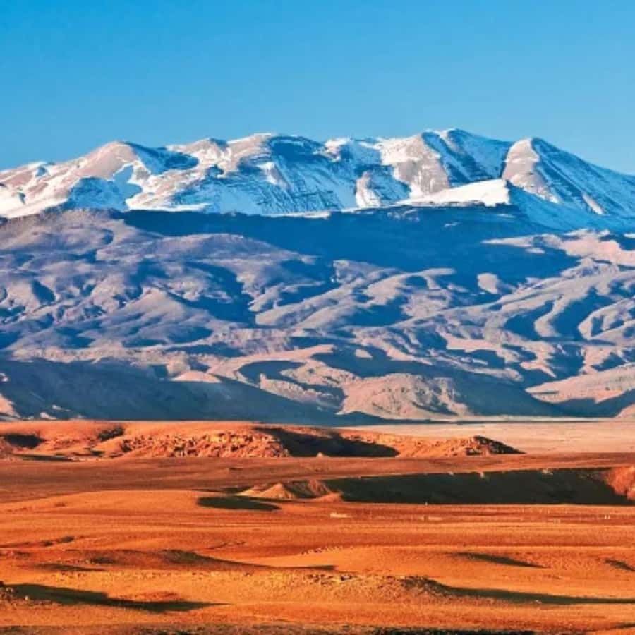 Marrakech: Camel Ride & Sunset Dinner with Fire Show - Who will enjoy this evening most