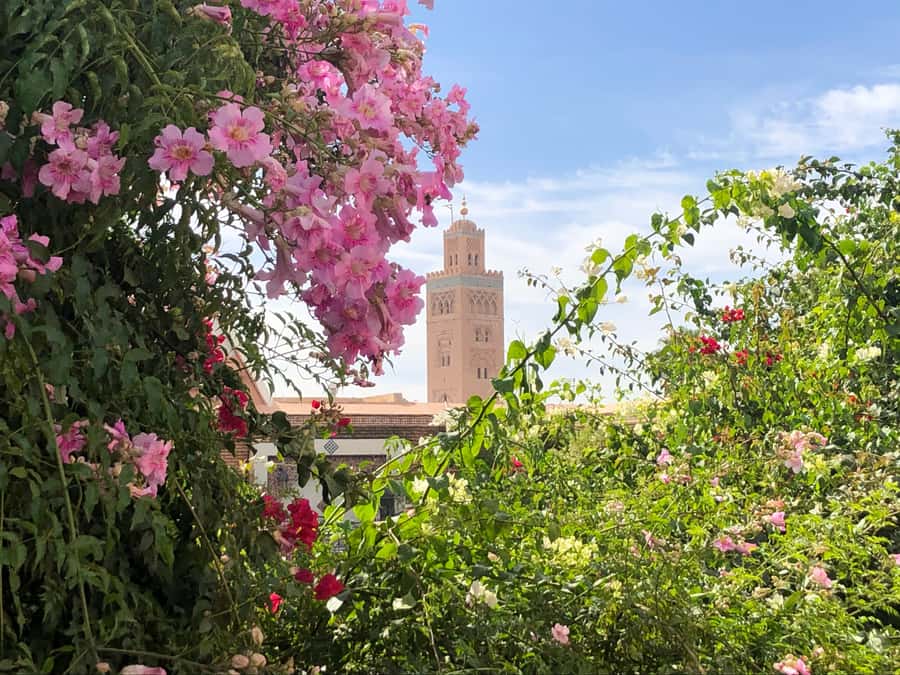 Marrakech: Customized Guided Walking Tour - Language, guiding style, and the human factor