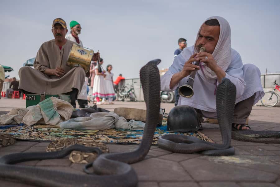 Marrakech: Customized Guided Walking Tour - Starting at Jemaa el-Fnaa and Café de France
