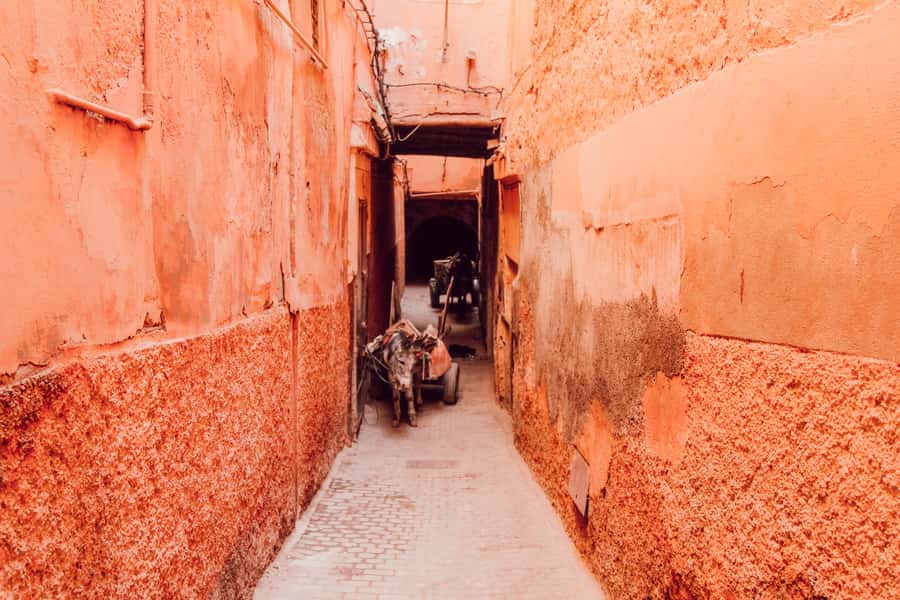 Marrakech: Customized Guided Walking Tour - Tea, riad terraces, and local atmosphere