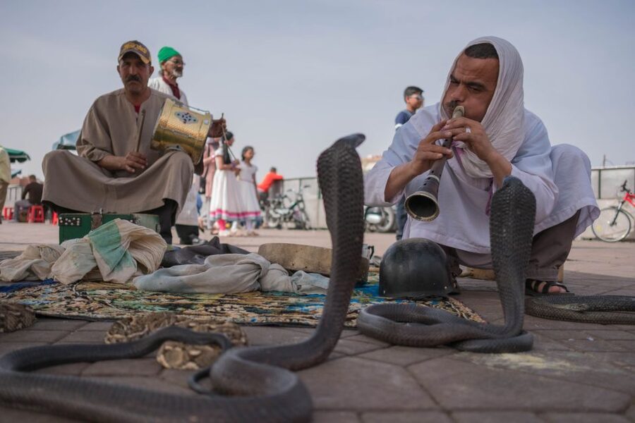 Marrakech: Customized Guided Walking Tour - What the $64 price really buys