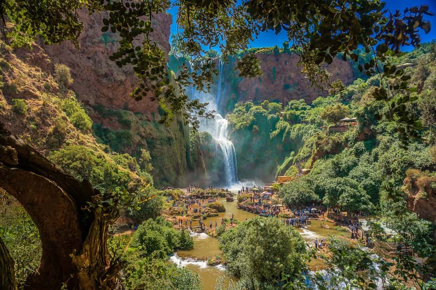 Marrakech: Day Tour to Ouzoud Waterfalls with Boat Trip - Should you book this Ouzoud Falls tour?