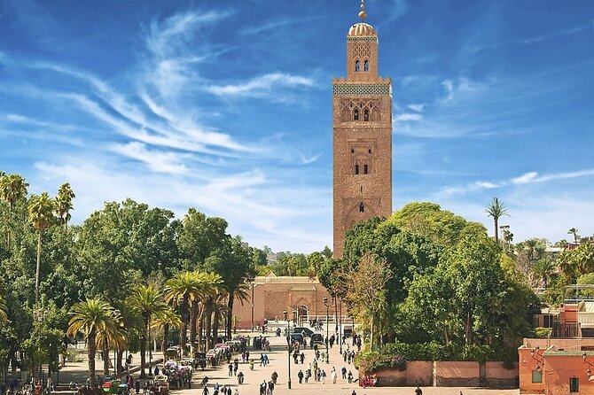 Marrakech Day Trip with Camel Ride from Casablanca - Le Jardin Secret and the quieter side of the Medina