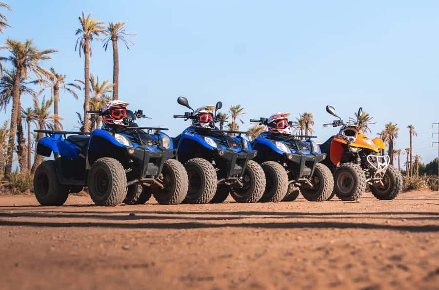 Marrakech: Desert and Palm Grove Quad Tour with Tea - Useful packing advice for a dusty morning or afternoon