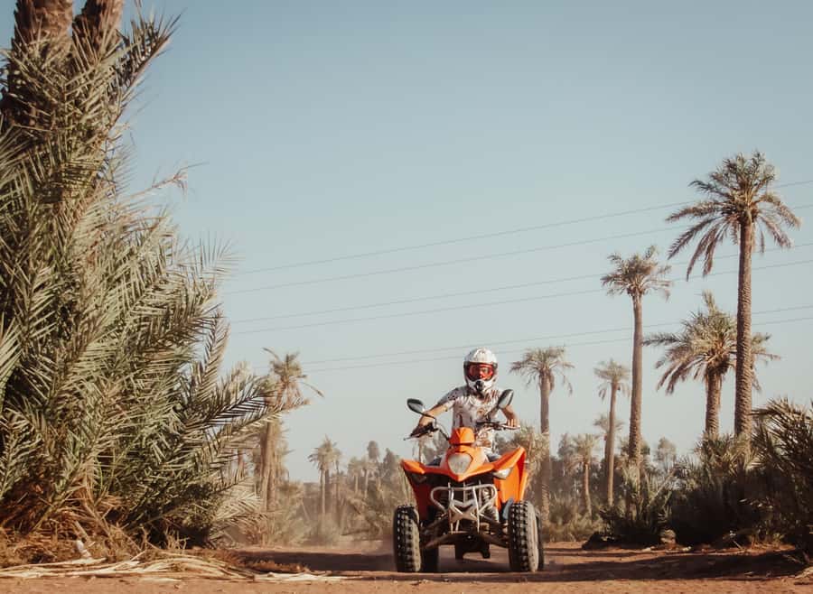 Marrakech: Desert and Palm Grove Quad Tour with Tea - A quiet pause among the palms