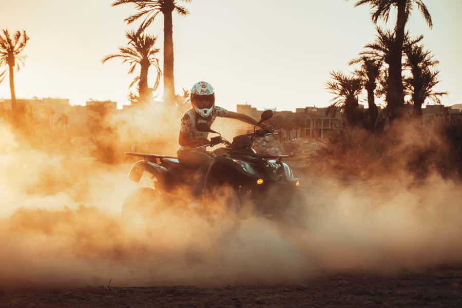 Marrakech: Desert and Palm Grove Quad Tour with Tea - Who will enjoy this quad tour most