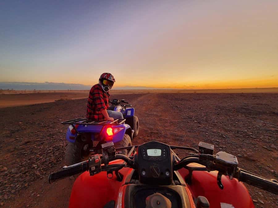 Marrakech: Desert and Palm Grove Sunset Quad Tour with Tea - The tea stop with bread, honey, and olives