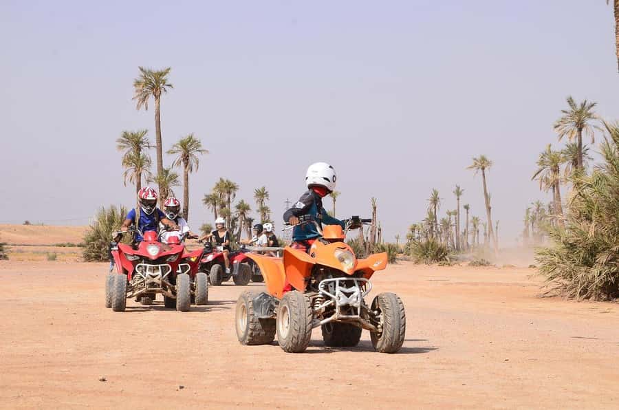 Marrakech: Desert and Palm Grove Sunset Quad Tour with Tea - Sunset photos in the palm grove