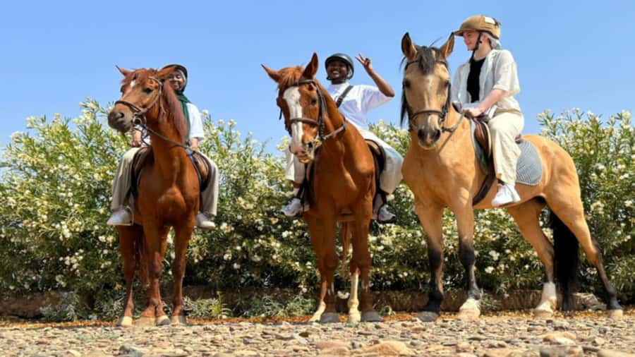 Marrakech: Desert and Palmeraie Horse Riding Tour & Transfer - Meeting your horse and getting ready