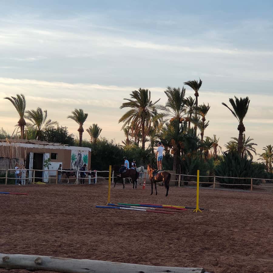Marrakech: Desert and Palmeraie Horse Riding Tour & Transfer - Who should choose this ride?