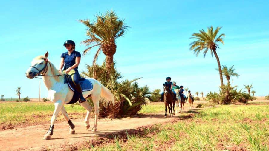 Marrakech: Desert and Palmeraie Horse Riding Tour & Transfer - Mint tea beside the pool