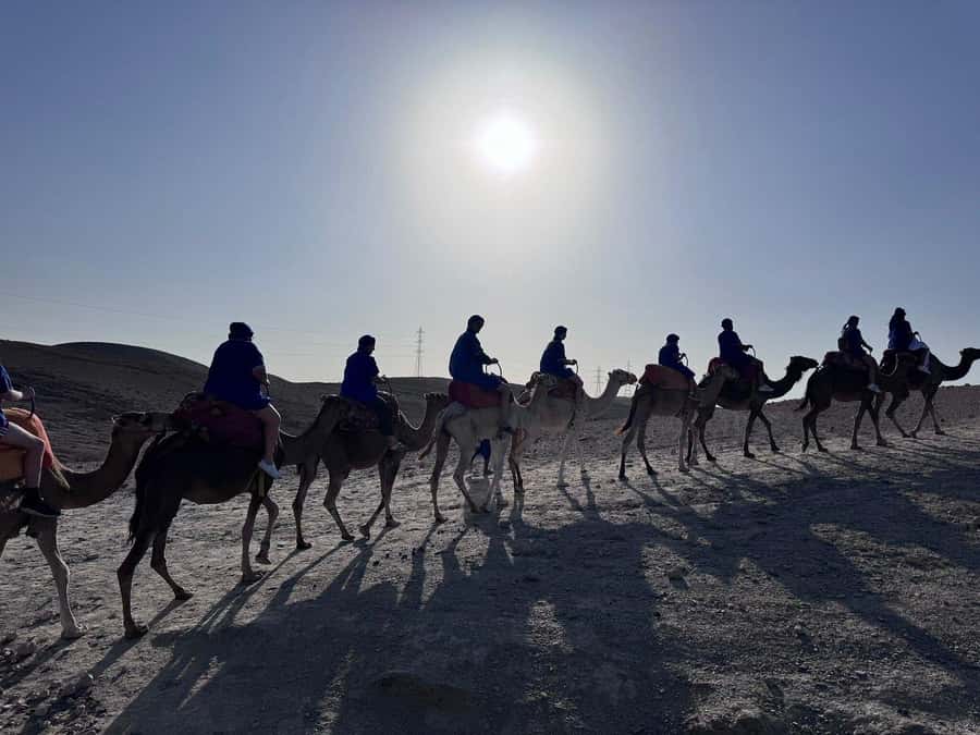 Marrakech: Desert Quad Bike Tour with Tea & Optional Dinner - Moroccan dinner under the stars
