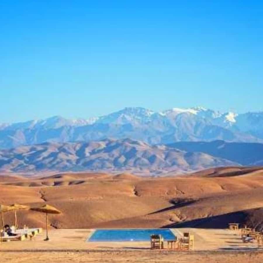 Marrakech: Dinner and Quad bike Desert Agafay Stars & show - Key points to know before booking