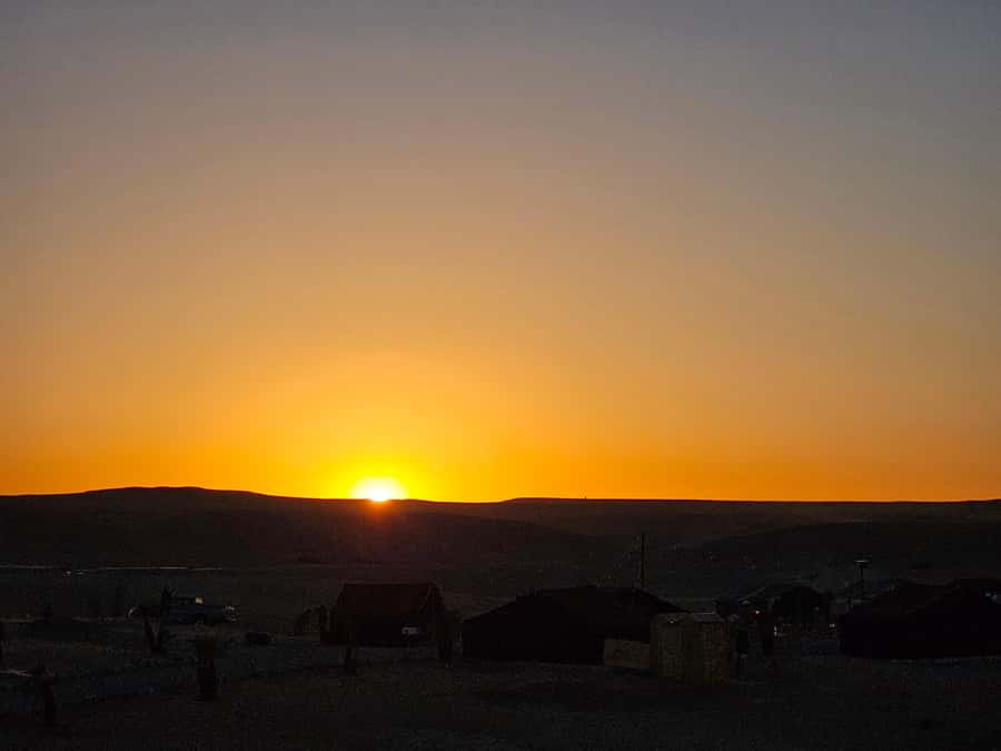 Marrakech: Dinner and Quad bike Desert Agafay Stars & show - Who should book this four-hour outing