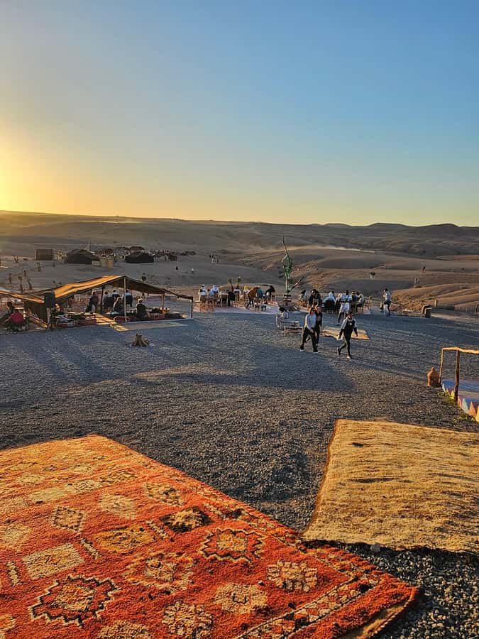 Marrakech: Dinner and Quad bike Desert Agafay Stars & show - Guides who shape the experience
