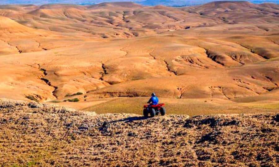 Marrakech: Dinner and Quad bike Desert Agafay Stars & show - What $14 really buys you