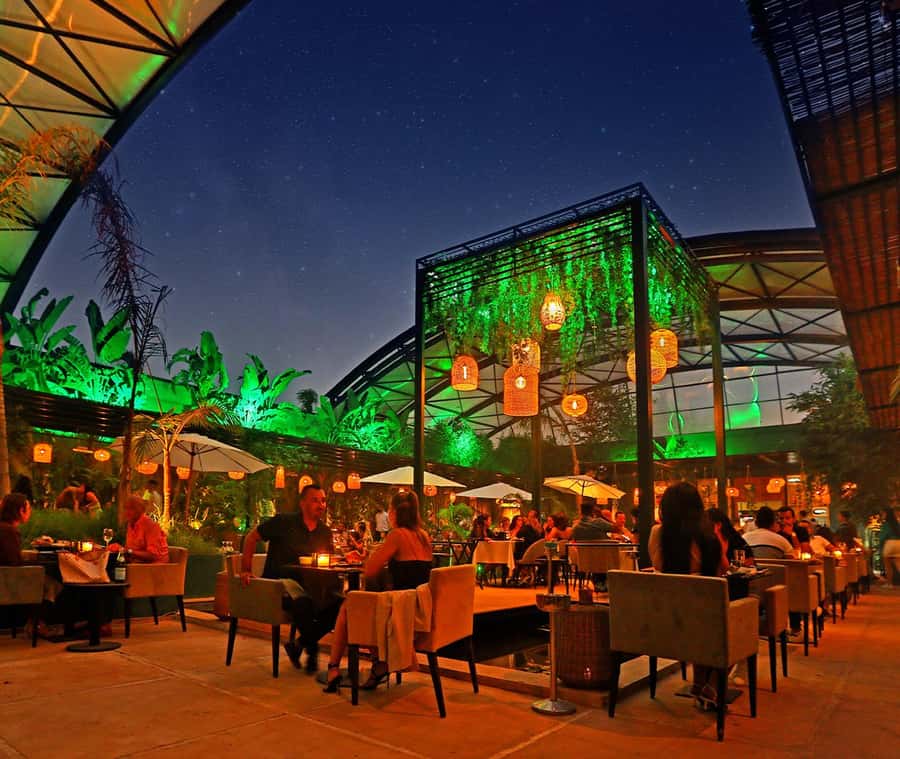 Marrakech : Dinner Show at Nouba Restaurant - Chef Ashish Purty and the wider menu