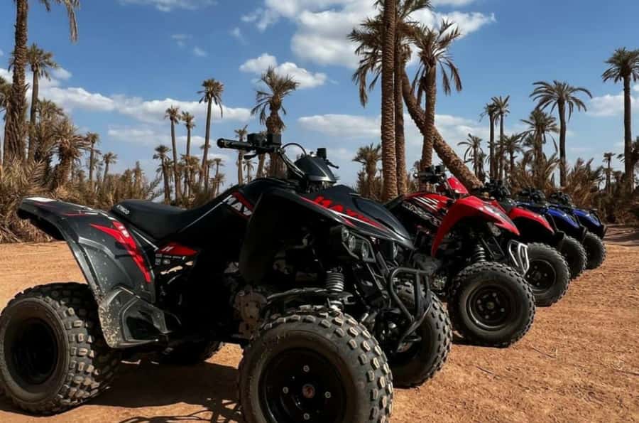 Marrakech: Dunes of the Palmeraie Quad Bike Ride with Tea - The mint tea stop in the open country