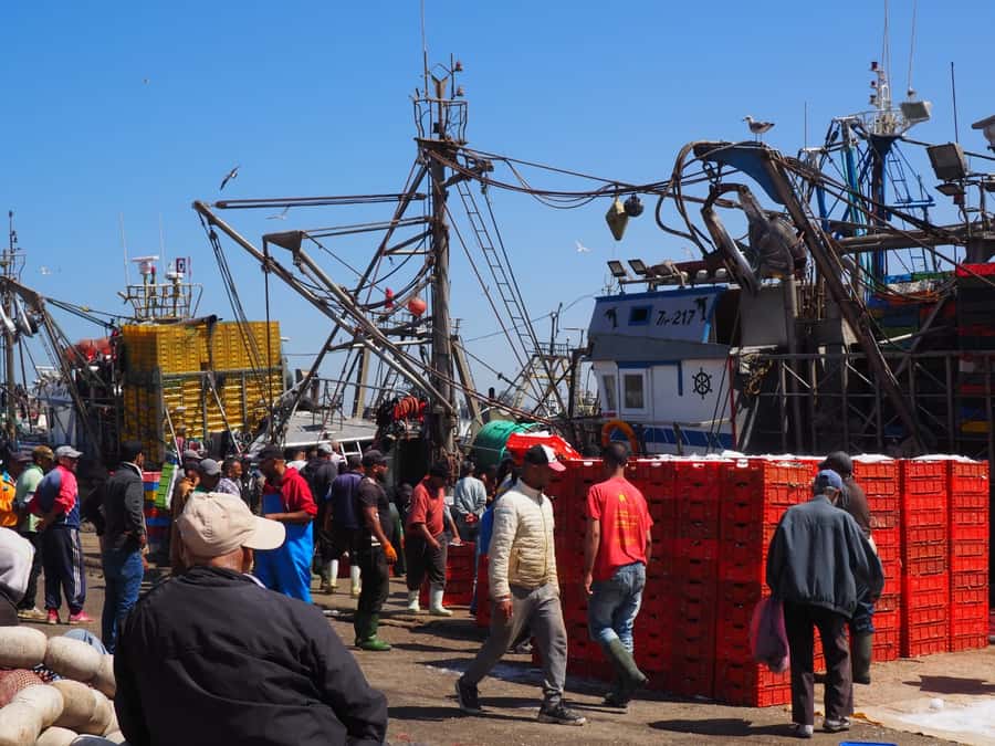 Marrakech: Essaouira Day Trip with Transfers and Co-op Visit - Key points at a glance