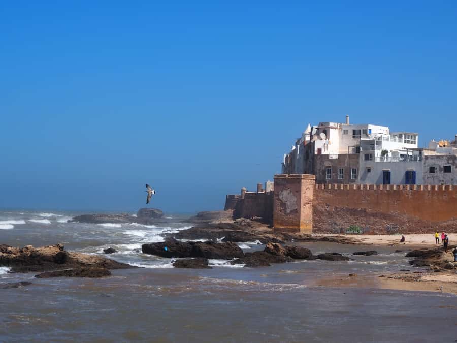 Marrakech: Essaouira Day Trip with Transfers and Co-op Visit - The café stop: a practical break